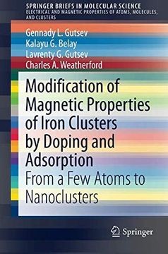 portada Modification of Magnetic Properties of Iron Clusters by Doping and Adsorption: From a few Atoms to Nanoclusters (Springerbriefs in Molecular Science) (en Inglés)