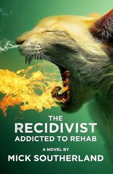 portada The Recidivist: Addicted to Rehab: A shocking novel about alcoholism, rehab, and redemption.