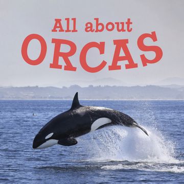 portada All About Orcas (English) (Nunavummi) (in English)