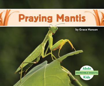 portada Praying Mantis (en Inglés)