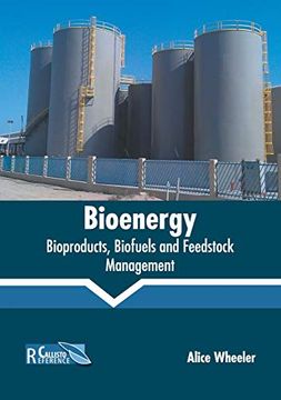 portada Bioenergy: Bioproducts, Biofuels and Feedstock Management (in English)