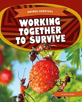 portada Working Together to Survive