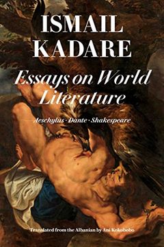 portada Essays On World Literature