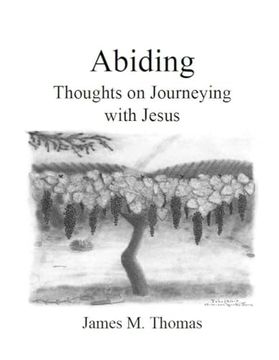 portada Abiding: Thoughts on Journeying with Jesus (en Inglés)
