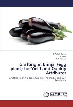 portada Grafting in Brinjal (egg plant) for Yield and Quality Attributes: Grafting in Brinjal (Solanum melongena L. ) and Wilt Resistance