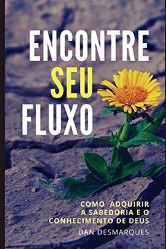 portada Encontre seu Fluxo: Como Adquirir a Sabedoria e o Conhecimento de Deus (en Portugués)