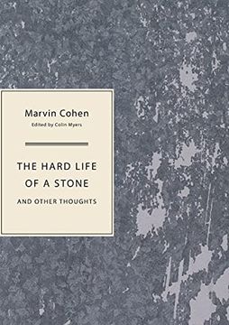 portada The Hard Life of a Stone (in English)