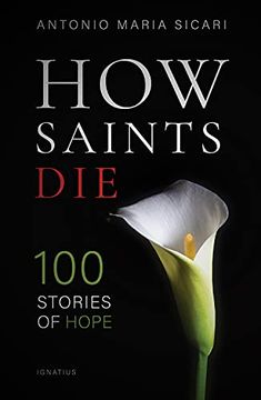 portada How Saints Die: 100 Stories of Hope