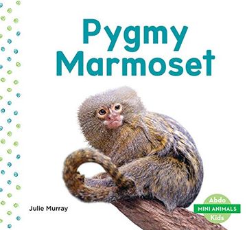 portada Pygmy Marmoset (Mini Animals) (in English)