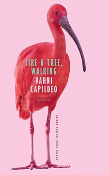 portada Like a Tree, Walking