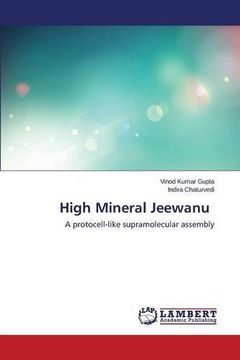 portada High Mineral Jeewanu