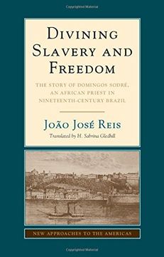 portada Divining Slavery and Freedom: The Story of Domingos Sodré, an African Priest in Nineteenth-Century Brazil (New Approaches to the Americas) (in English)