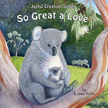portada So Great a Love (Joyful Creation) (in English)