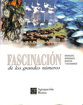 portada FASCINACIÓN DE LOS GRANDES NÚMEROS.