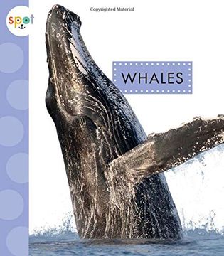 portada Whales (en Inglés)