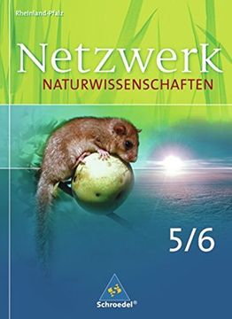 portada Netzwerk Naturwissenschaften 5/6. Schülerband. Gymnasium. Rheinland-Pfalz: Ausgabe 2009 (en Alemán)