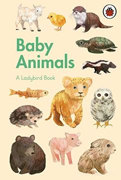 portada A Ladybird Book: Baby Animals (en Inglés)