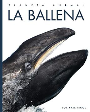 portada La Ballena (en Inglés)