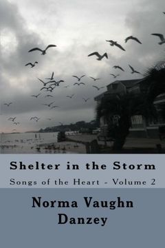 portada shelter in the storm (en Inglés)