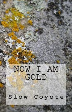 portada Now I Am Gold (en Inglés)