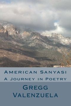 portada American Sanyasi: A Journey in Poetry