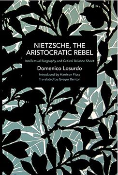 portada Nietzsche, the Aristocratic Rebel: Intellectual Biography and Critical Balance-Sheet (Historical Materialism) 