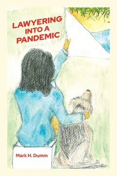 portada Lawyering Into A Pandemic (en Inglés)