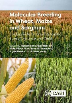 portada Molecular Breeding in Wheat, Maize and Sorghum: Strategies for Improving Abiotic Stress Tolerance and Yield (en Inglés)