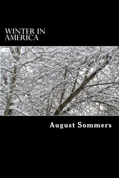 portada Winter in America