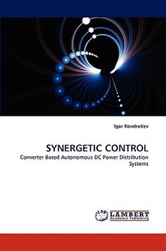 portada synergetic control (in English)