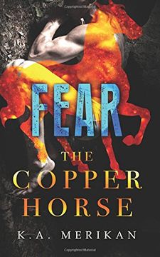 portada Fear (The Copper Horse book 1) (gay dark romance BDSM): Volume 1