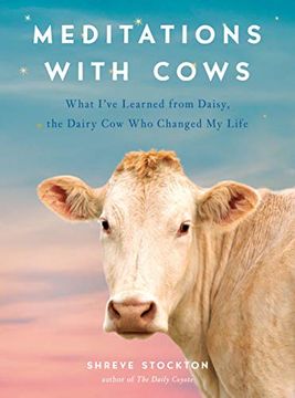 portada Meditations With Cows: What I'Ve Learned From Daisy, the Dairy cow who Changed my Life (in English)