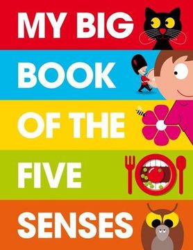 portada My Big Book of the Five Senses