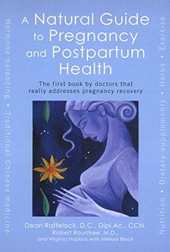 portada A Natural Guide to Pregnancy and Postpartum Health: The First Book by Doctors That Really Addresses Pregnancy Recovery (in English)