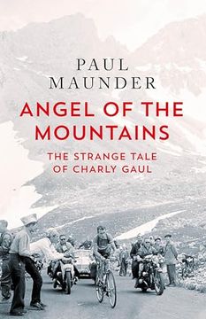 portada Angel of the Mountains (en Inglés)