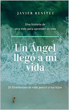 portada Un Angel Llego a mi Vida (in Spanish)