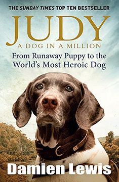 portada Judy: The Unforgettable Story of the Dog Who Went to War and Became a True Hero (in English)