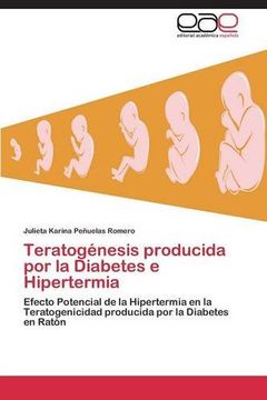 portada Teratogénesis producida por la Diabetes e Hipertermia
