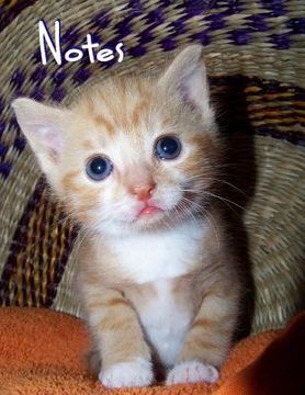 portada Notes: Kitten (en Inglés)