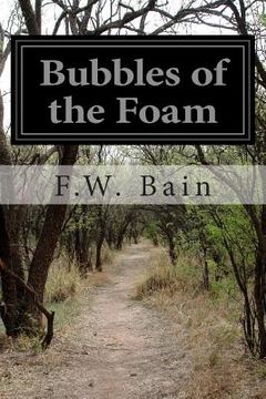 portada Bubbles of the Foam (en Inglés)