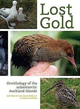 portada Lost Gold: Ornithology of the Subantarctic Auckland Islands (en Inglés)