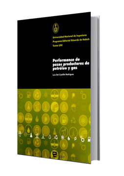 portada PERFOMANCE DE POZOS PRODUCTORES DE PETRÓLEO Y GAS (in Spanish)