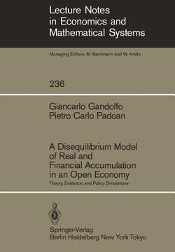 portada a disequilibrium model of real and financial accumulation in an open economy: theory, evidence, and policy simulations (en Inglés)