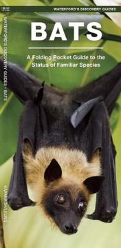 Bats: A Folding Pocket Guide to Familiar & Unusual Species Worldwide (en Inglés)