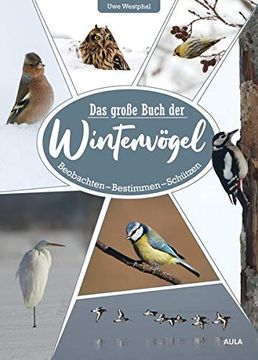portada Das Große Buch der Wintervögel: Beobachten? Bestimmen? Schützen: Beobachten - Bestimmen - Schtzen (in German)