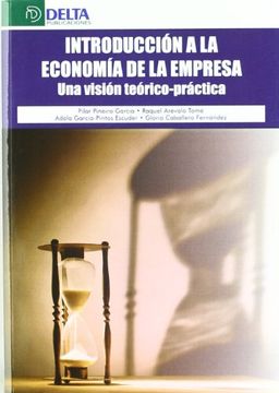 INTRODUCCION A LA ECONOMIA EMPRESA VISION TEORICO-PRACTICA