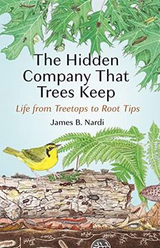 portada The Hidden Company That Trees Keep: Life From Treetops to Root Tips 