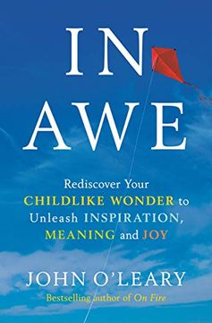 portada In Awe: Rediscover Your Childlike Wonder to Unleash Inspiration, Meaning, and joy (in English)