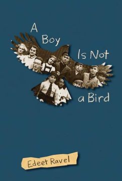 portada A Boy Is Not a Bird (en Inglés)