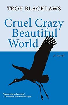 portada Cruel Crazy Beautiful World: A Novel (in English)